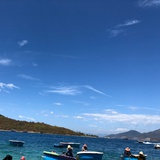 菲洛