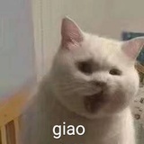 彤管有炜