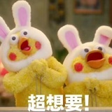 超级小白兔