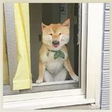 不太想起名