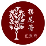 摆尾箐古树茶
