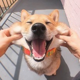 smile月半儿
