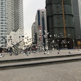 江灿