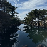 T。