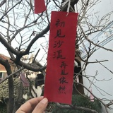 般若安