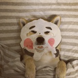 哟哟哟