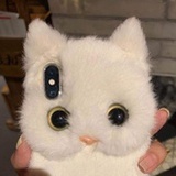 🐱🍋布布