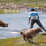 嘻嘻