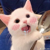 随便吧