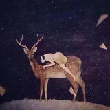 长安不长安