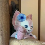 柚子的柚