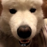 虚无主义