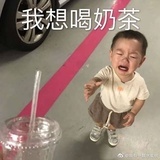 奶茶小姐