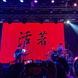 不留行