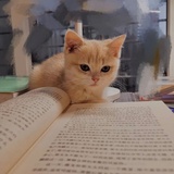 十一