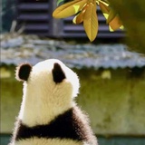 给给给给给