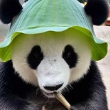 晴天阴天下雨天