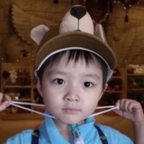 郑恺