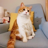 玮小宝