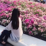 七柒姑娘
