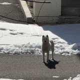 她对此感到无聊