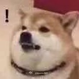 tsuki
