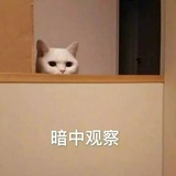 木儿