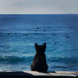 大海