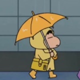 藤年