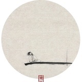 中舒舍人