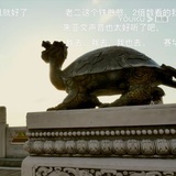 哈批橙