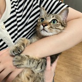 没有直坠的落叶