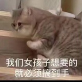 江湖变形金刚