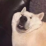 凡尘