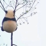 烧烤烤肉全都要