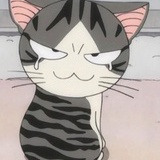 金不缺