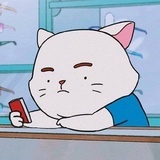 橘色是只猫