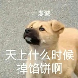 佳佳减减。