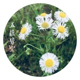 栗子发发