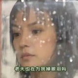 清纯佳人黑玫瑰