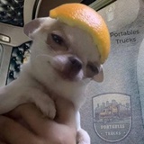 四核独显