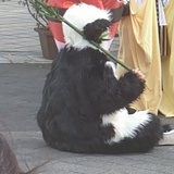 撒娇匠人虎东东
