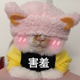 嘻嘻嘻嘻嘻