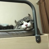 我可太强了