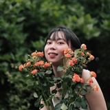 会飞的小羊