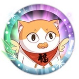 没猫的逗猫高手