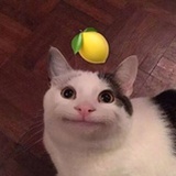 三花