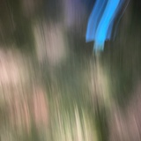一日入秋