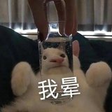 CCC
