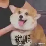 咸鱼